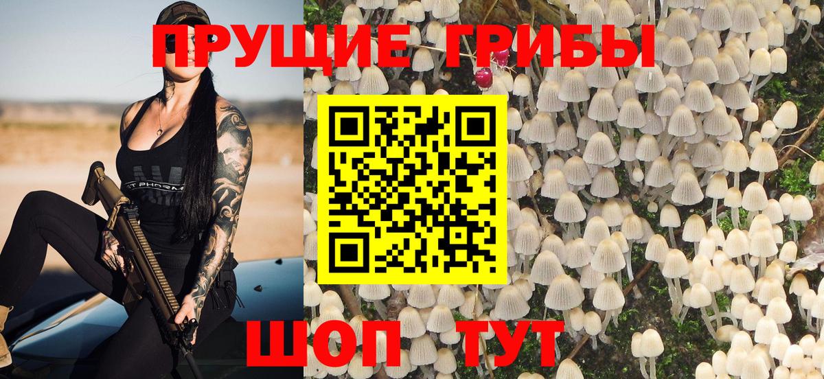 Химки  Галлюциногенные грибы Psilocybine cubensis  Вход с VPN  Псилоцибиновые грибы мицелий 